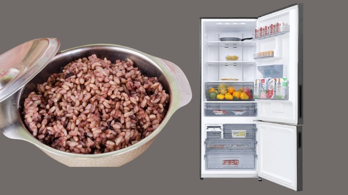 Bảo quản ngăn mát hoặc ngăn đông tùy nhu cầu