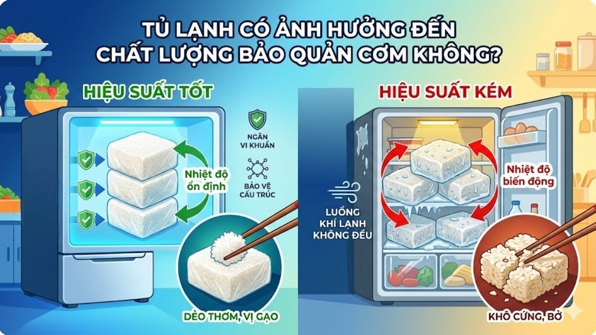 Tủ lạnh có ảnh hưởng đến chất lượng bảo quản cơm không?
