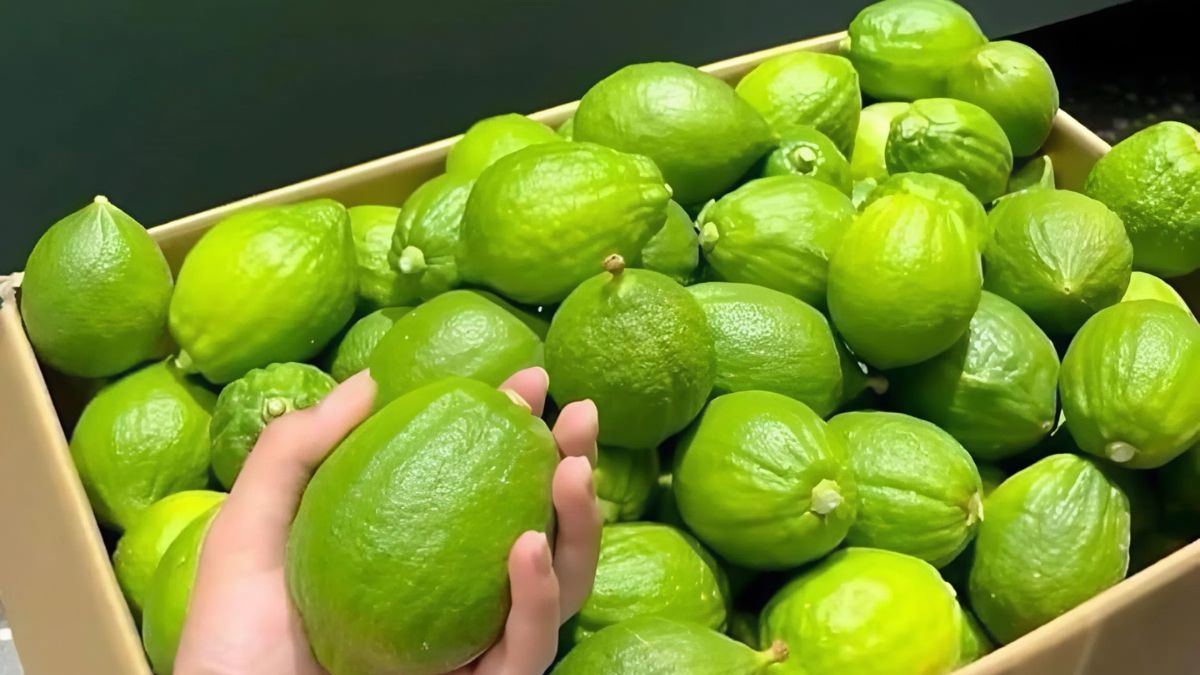 Bảo quản chanh ở nhiệt độ phòng được bao lâu?