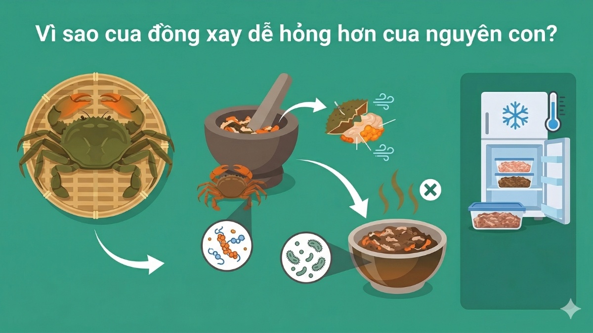 Vì sao cua đồng xay dễ hỏng hơn cua nguyên con?