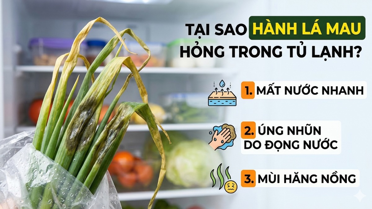Vì sao hành lá nhanh héo và có mùi trong tủ lạnh?