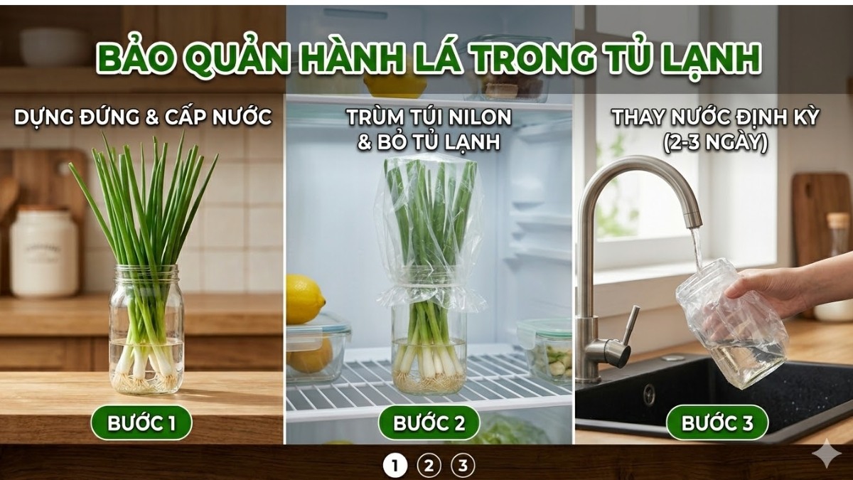Hướng dẫn bảo quản hành lá trong tủ lạnh đúng cách