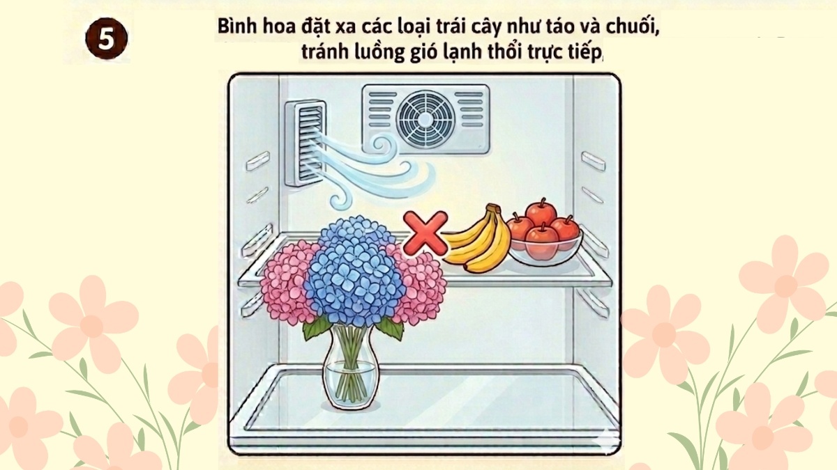 Tránh để hoa gần hoa quả chín và luồng gió lạnh 