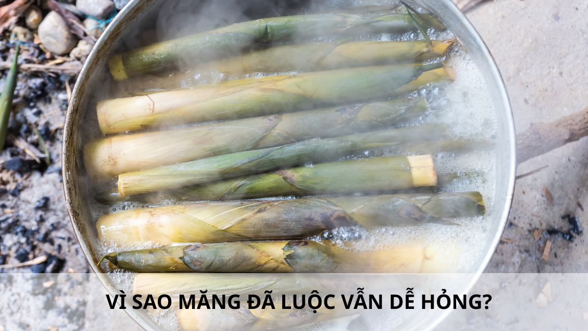 Vì sao măng đã luộc vẫn dễ hỏng?