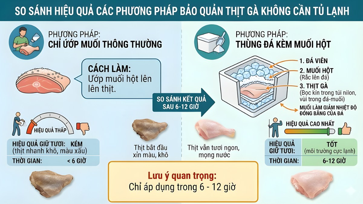 So sánh hiệu quả các phương pháp không cần tủ lạnh
