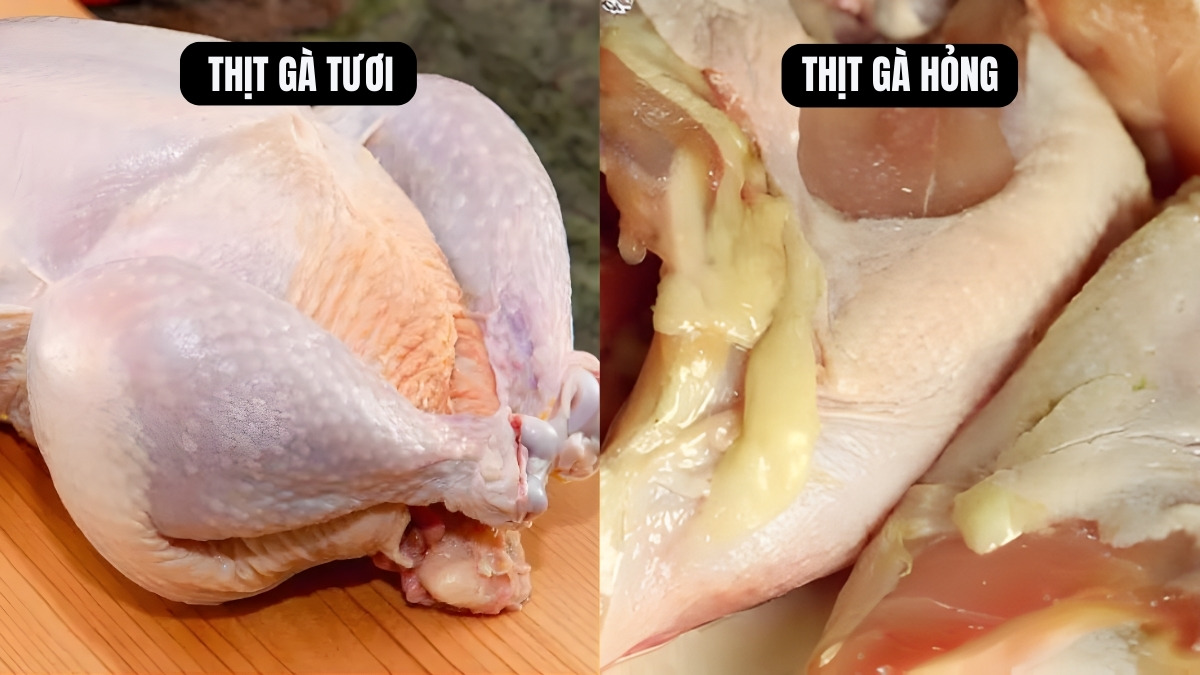Cách nhận biết thịt gà sống đã hỏng