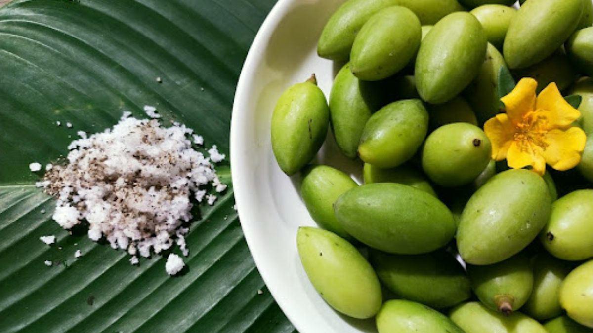 Ăn trám xanh có tốt không? Giá trị dinh dưỡng bạn nên biết