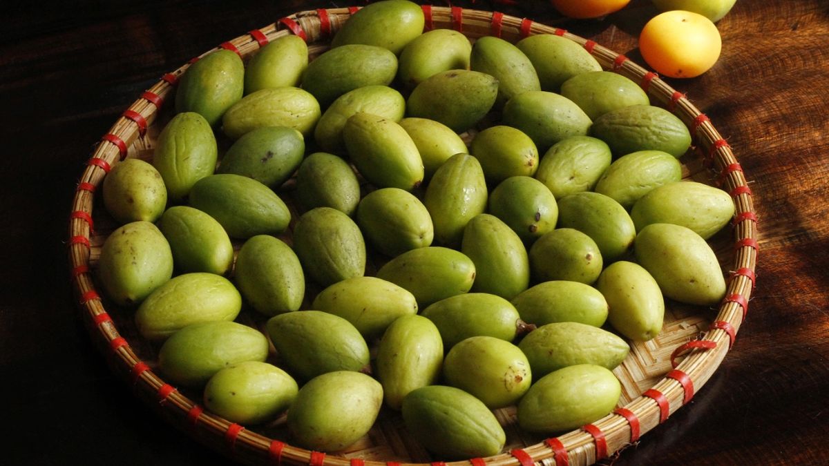 Những yếu tố ảnh hưởng đến chất lượng trám khi bảo quản lạnh