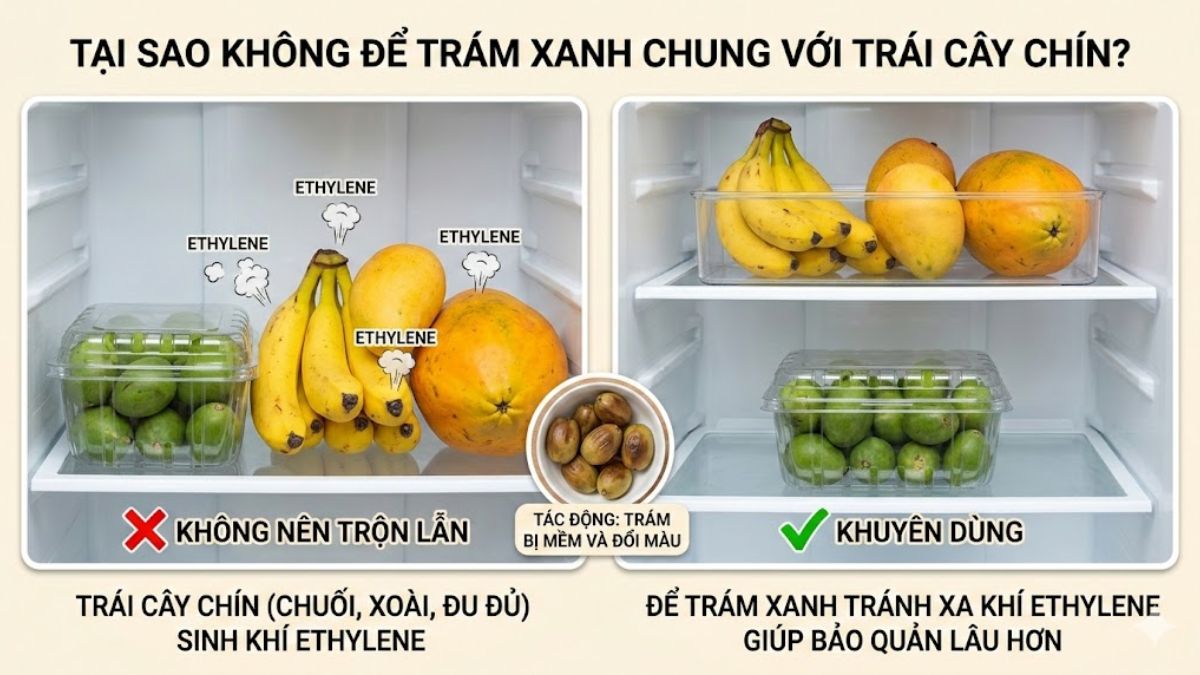 Lưu ý quan trọng khi chế biến và bảo quản trám xanh