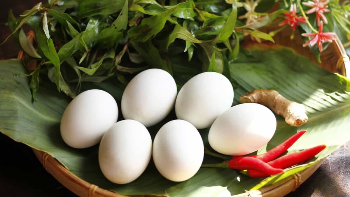 Bảo quản ở nhiệt độ phòng