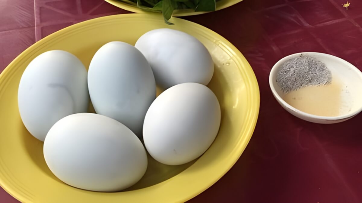 Trứng vịt lộn để qua đêm có dùng được không?