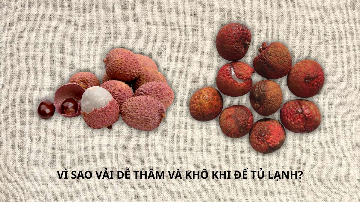Vì sao vải dễ thâm và khô khi để tủ lạnh?