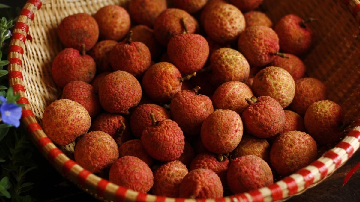 Cắt bớt cuống nhưng không bứt sát vỏ