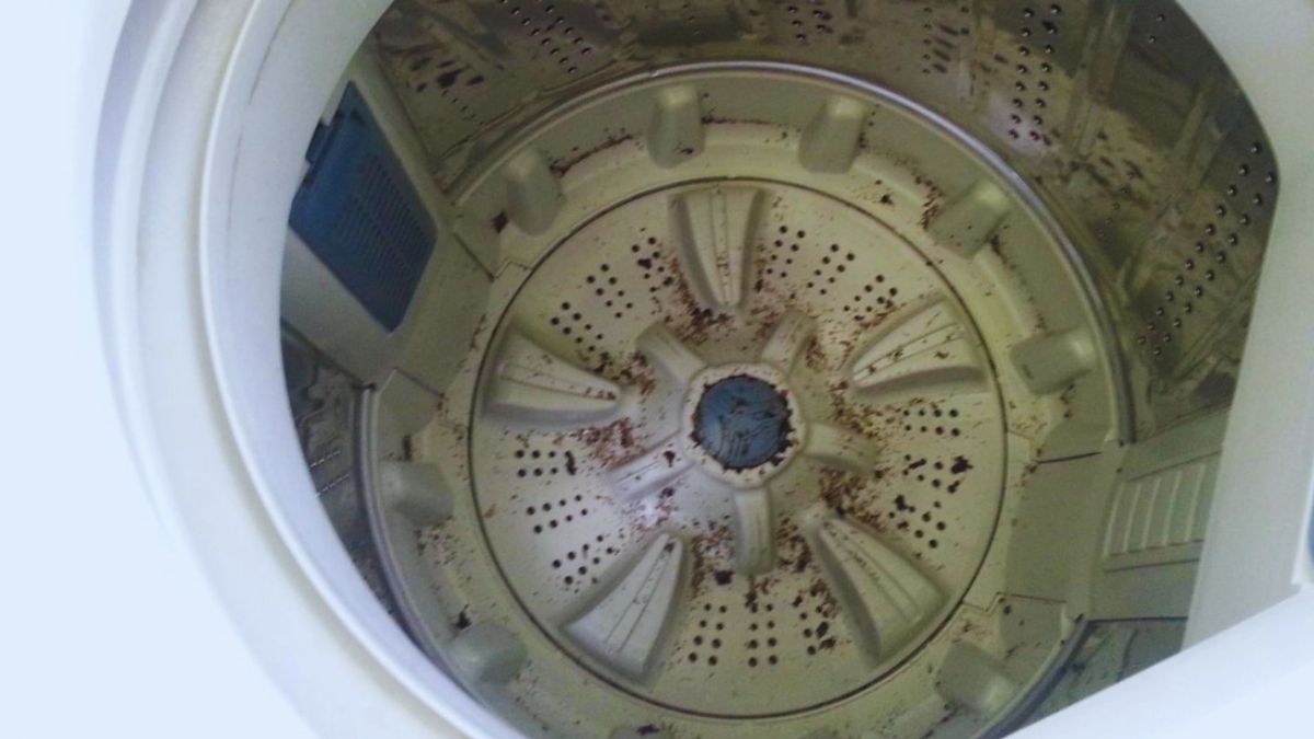 Máy giặt bẩn, lồng giặt có cặn bã
