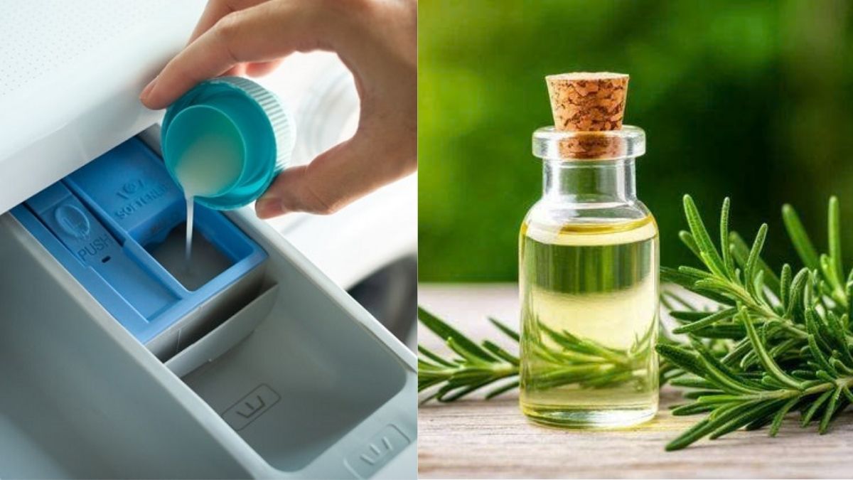 Thêm tinh dầu tự nhiên vào ngăn xả để tăng hương thơm