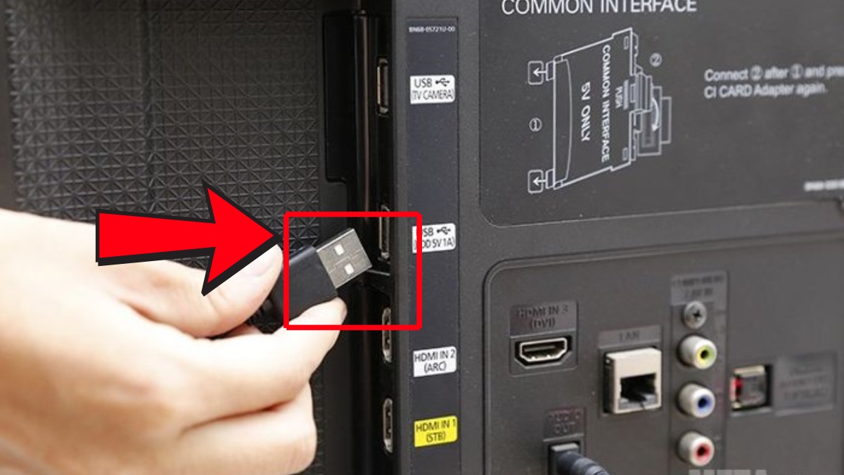 Kết nối chuột hoặc bàn phím USB vào tivi Sony