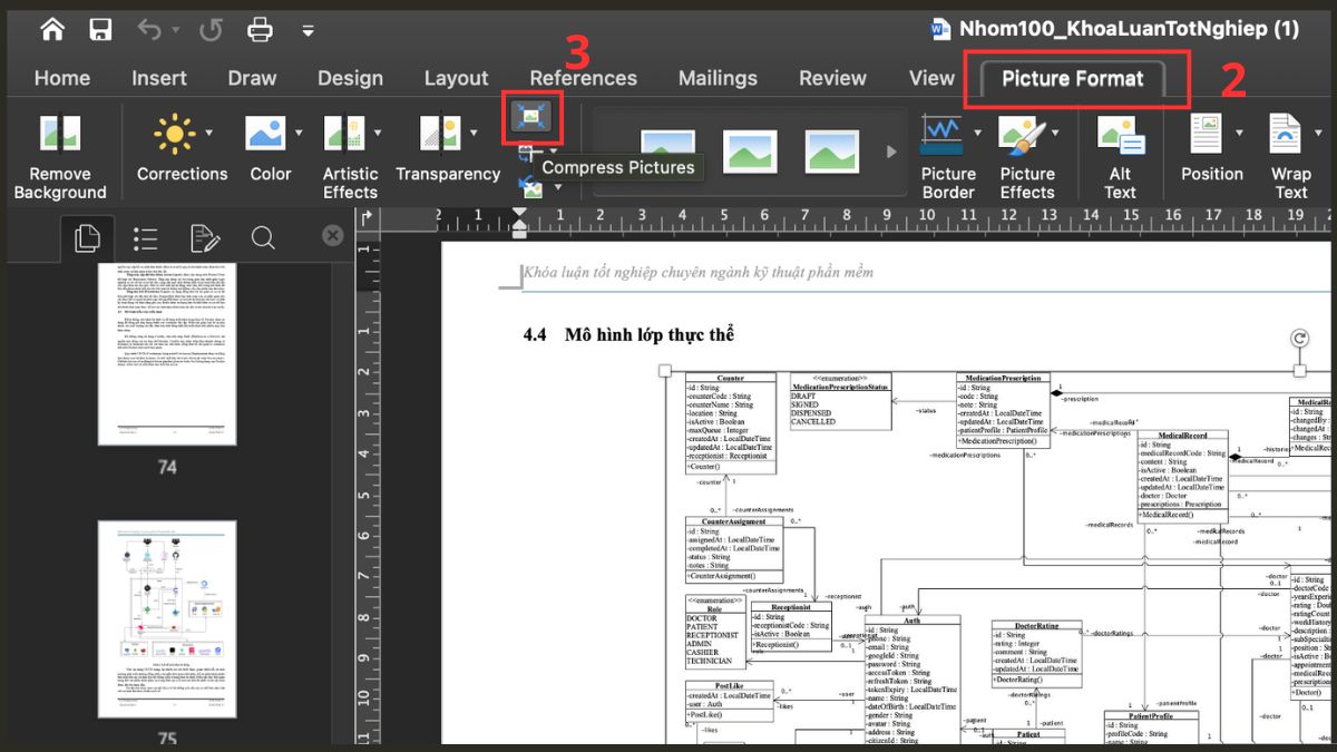 Chọn tab Picture Format