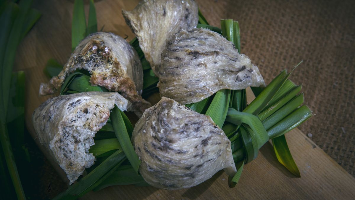 Cách nhận biết tổ yến bị hỏng trong tủ lạnh