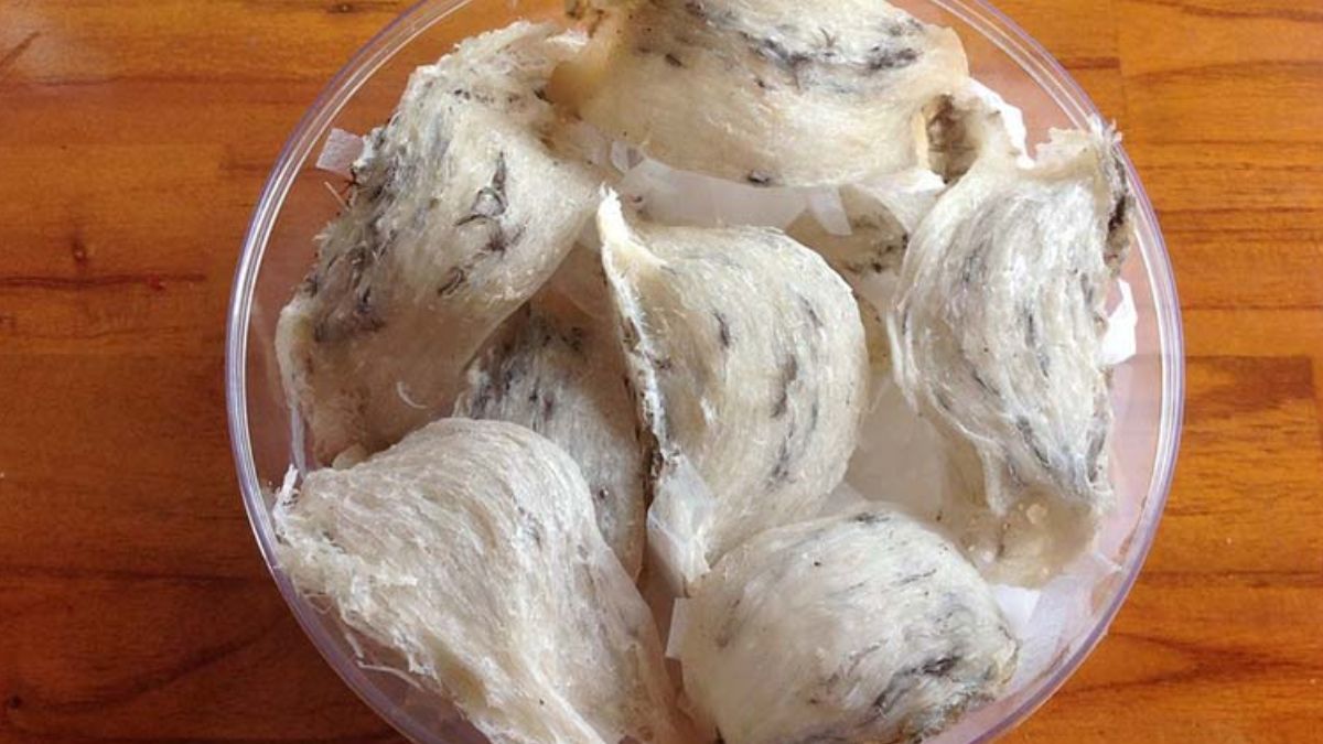 Cách bảo quản yến thô trong tủ lạnh