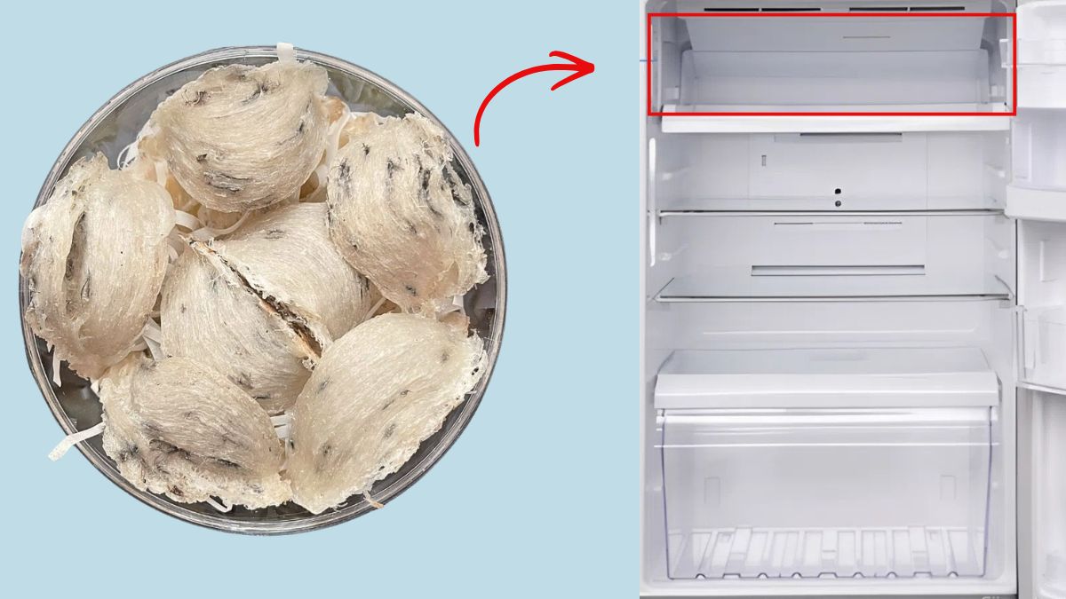 Chọn vị trí đặt trong tủ lạnh phù hợp