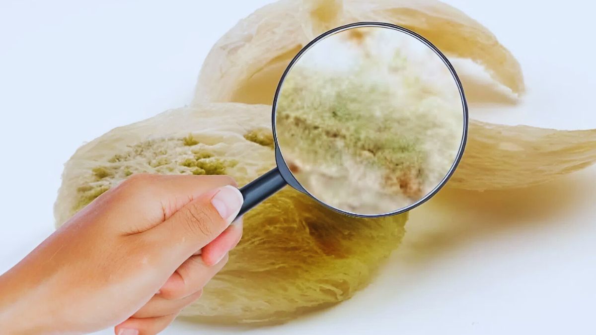 Kiểm tra định kỳ để tránh nấm mốc