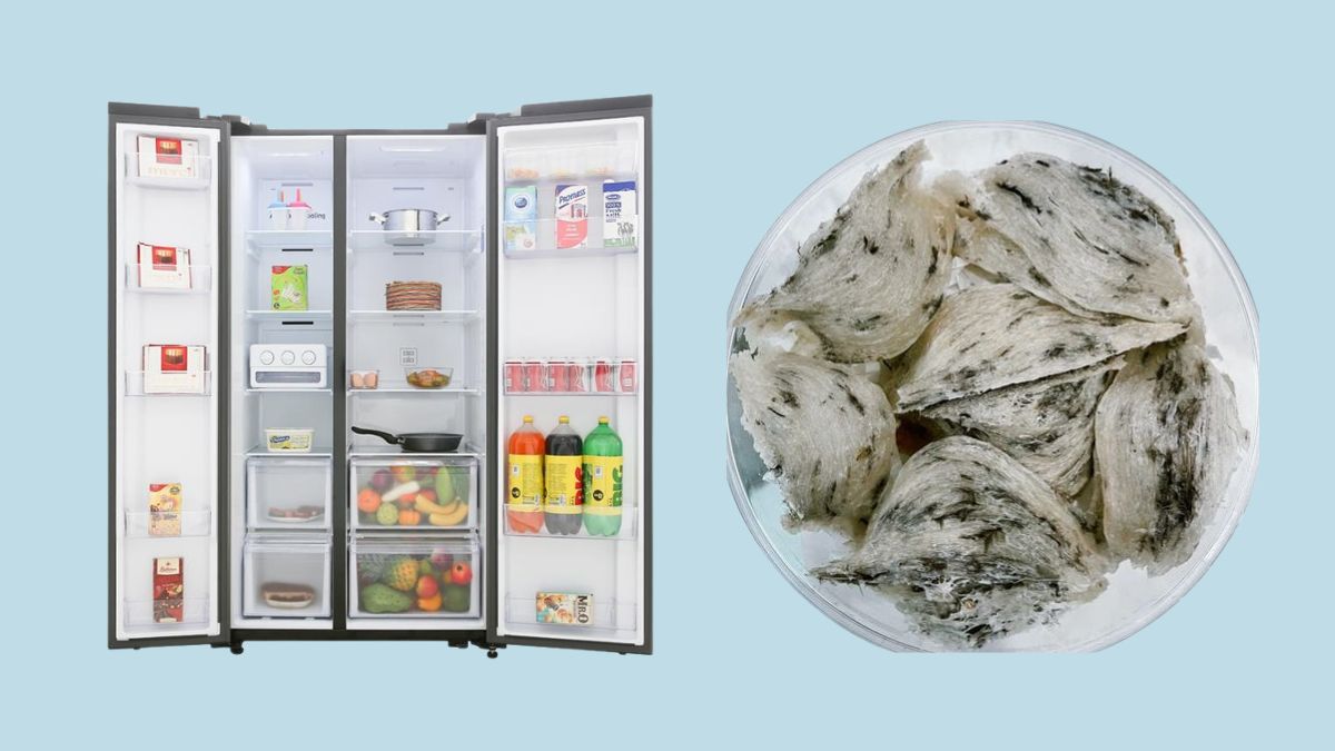 Những sai lầm phổ biến khi bảo quản tổ yến thô