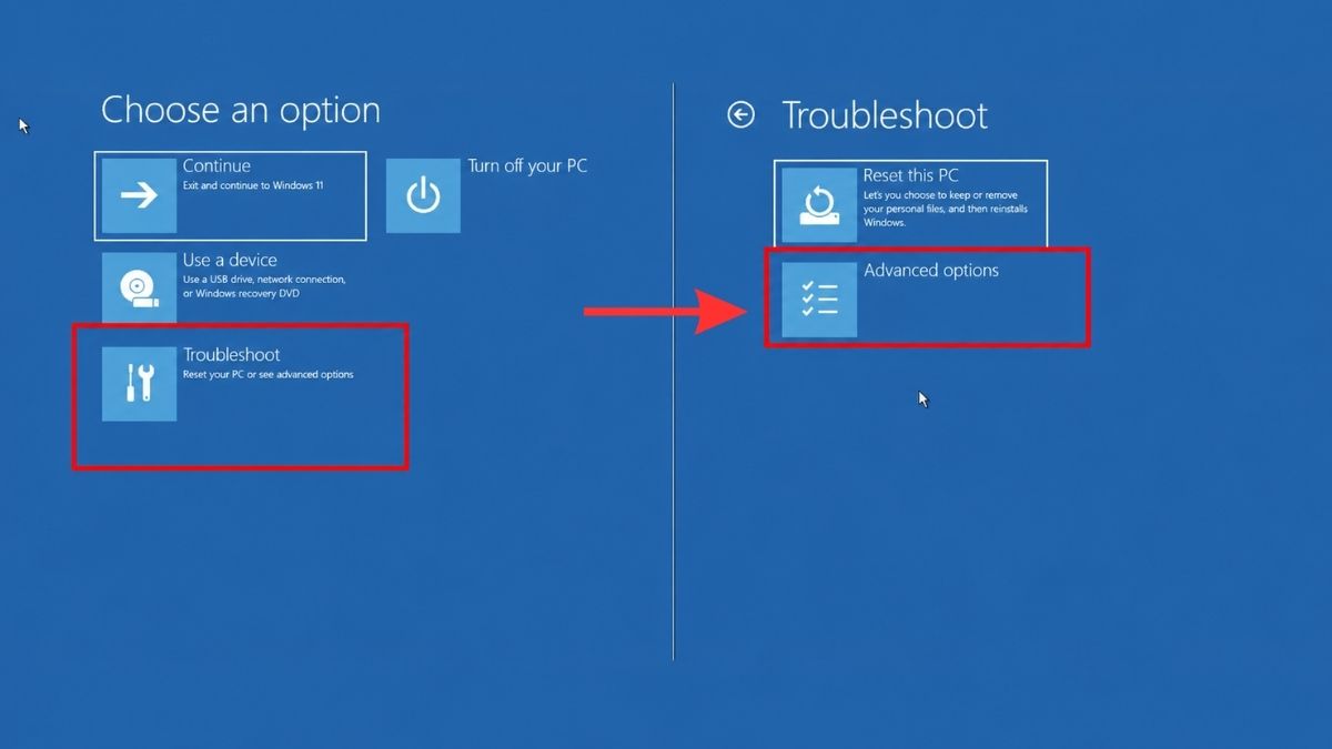 Truy cập Advanced options