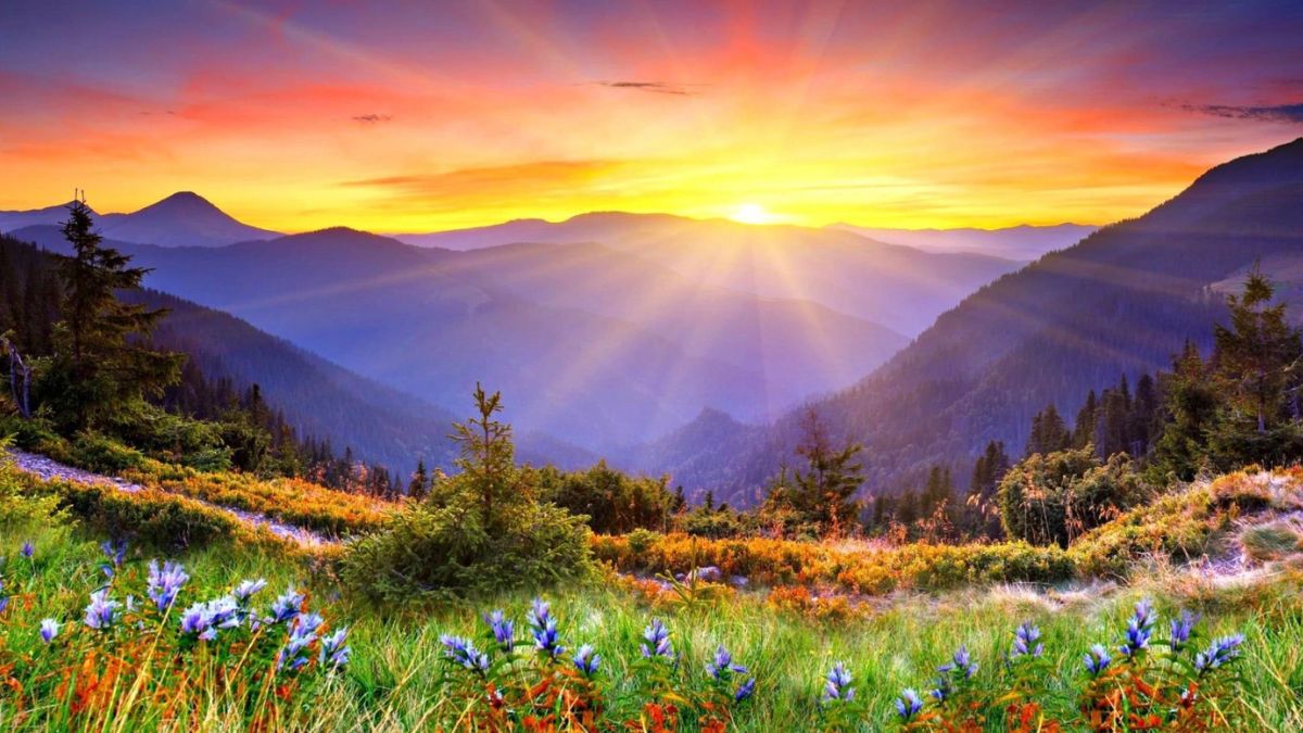 Hình nền thiên nhiên cute cho máy tính bảng