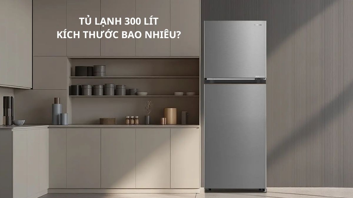 Tủ lạnh 300 lít kích thước bao nhiêu?