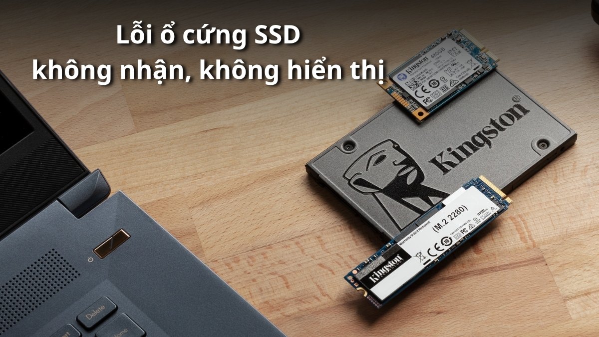 Lỗi ổ cứng SSD không nhận, không hiển thị