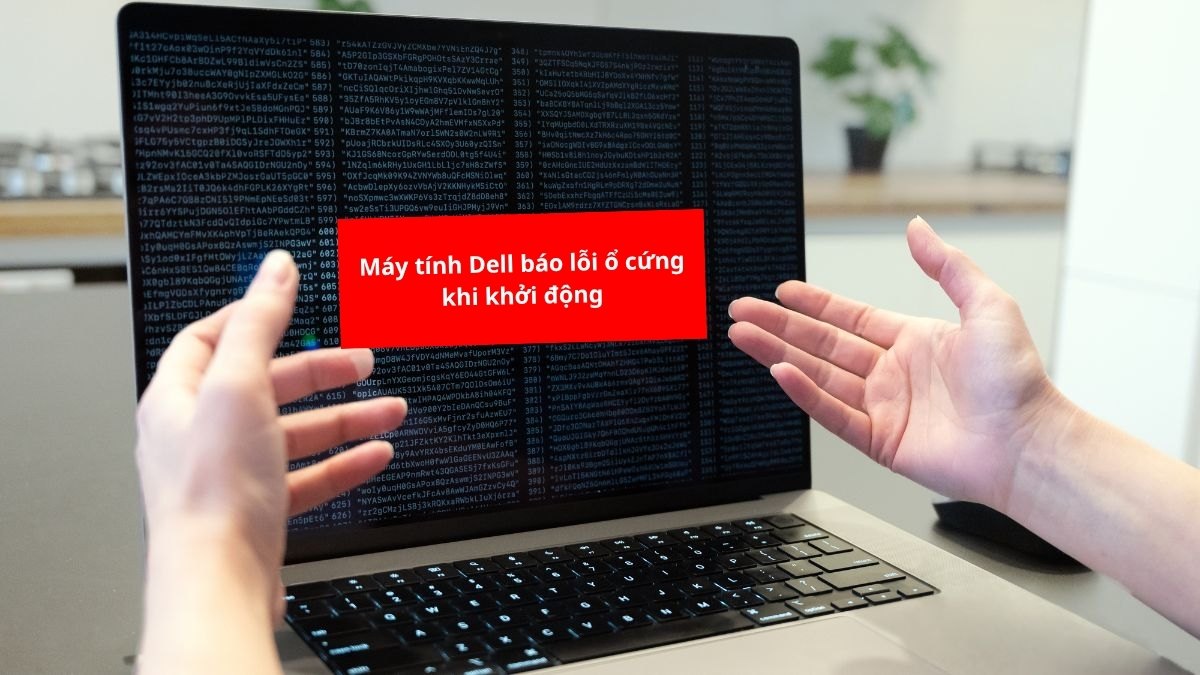 Máy tính Dell báo lỗi ổ cứng khi khởi động