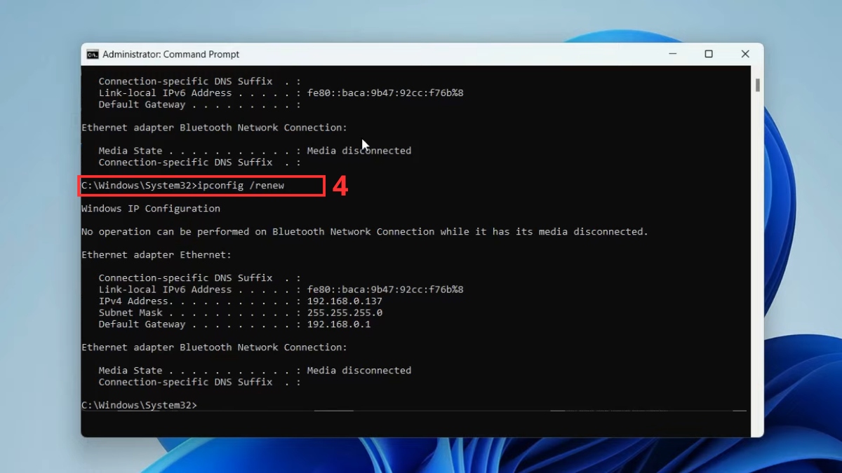 Nhập lệnh ipconfig /renew và nhấn Enter