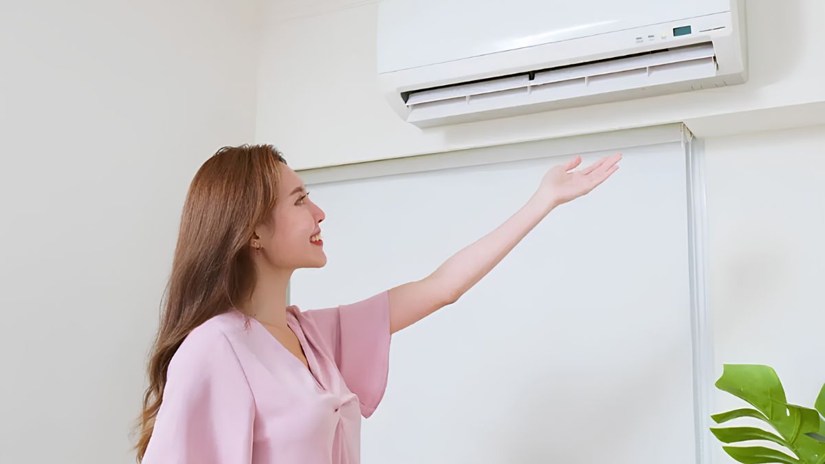 Lắp ráp lại và chạy thử