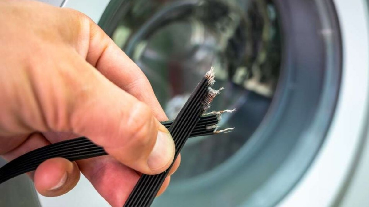 Dây tín hiệu bị đứt 