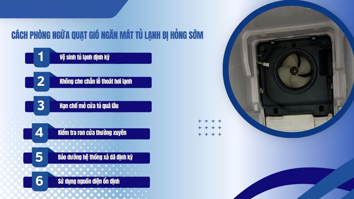 Cách phòng ngừa quạt gió ngăn mát tủ lạnh bị hỏng sớm