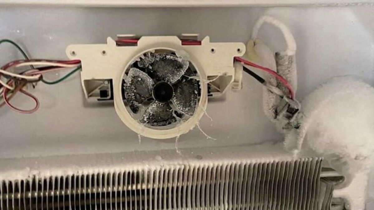 Kiểm tra vật cản và tình trạng đóng băng quanh cánh quạt