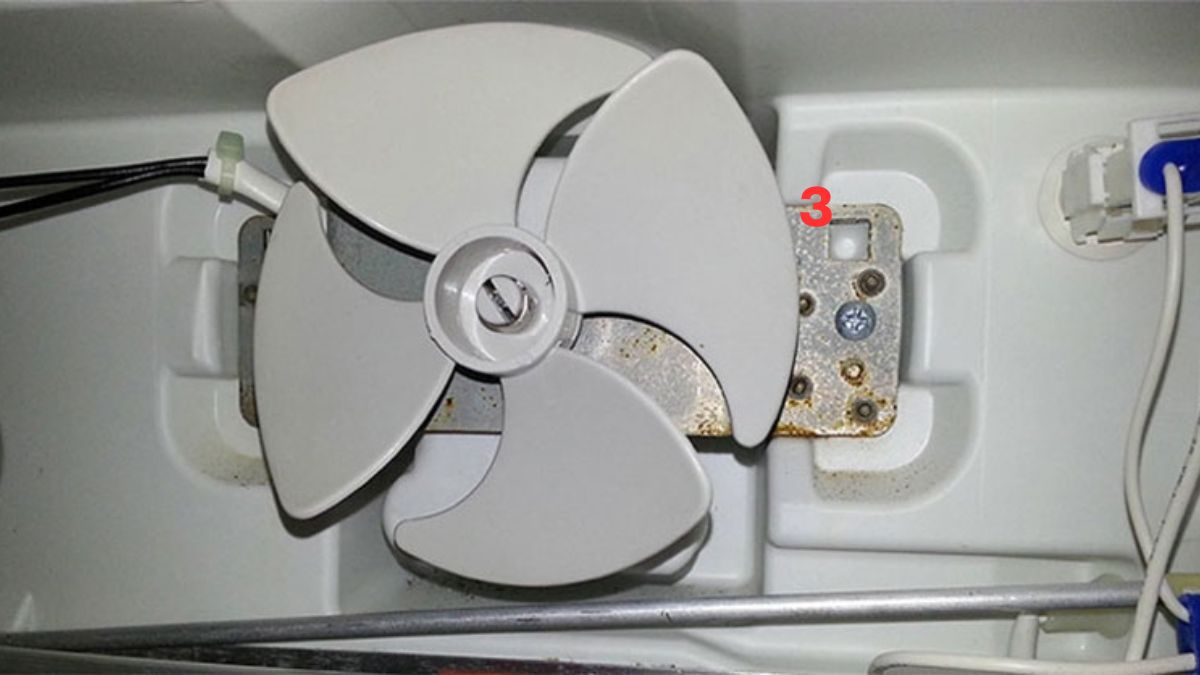 Dùng khăn khô lau sạch khu vực quạt