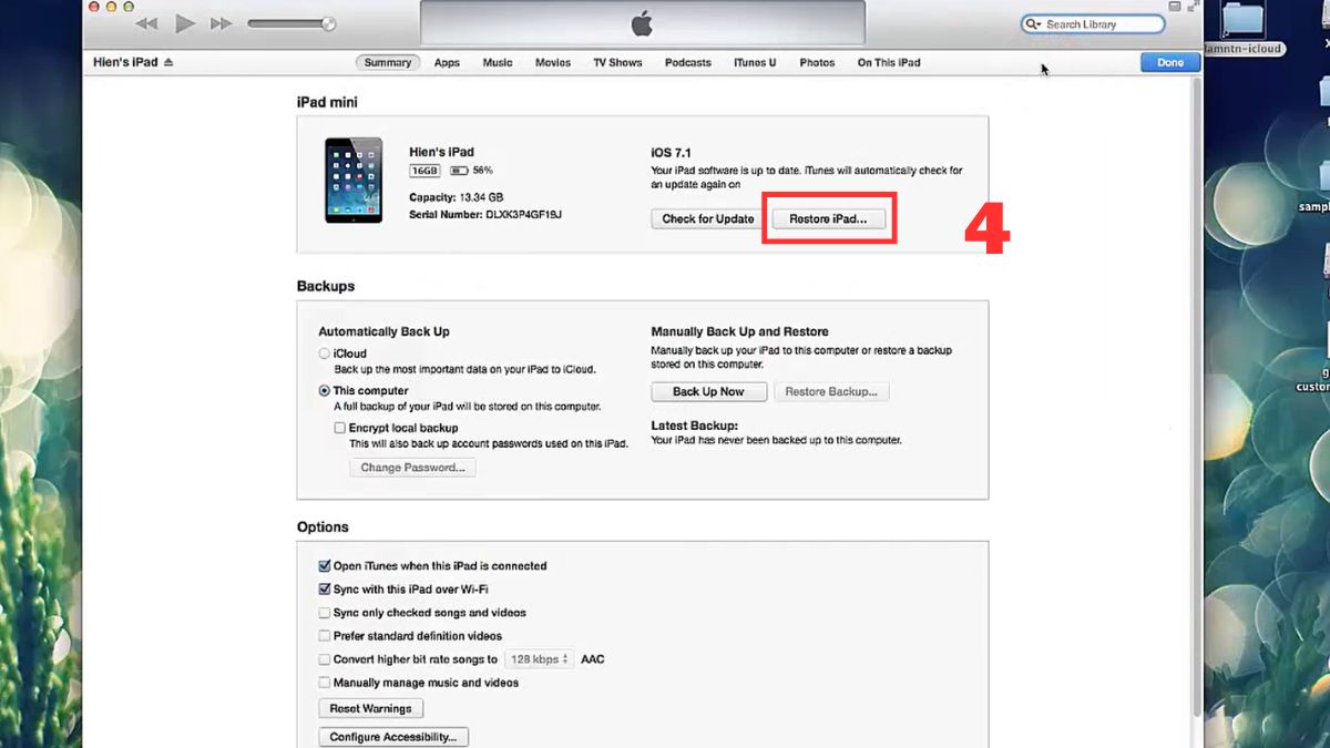 Hãy chọn vào Restore iPad