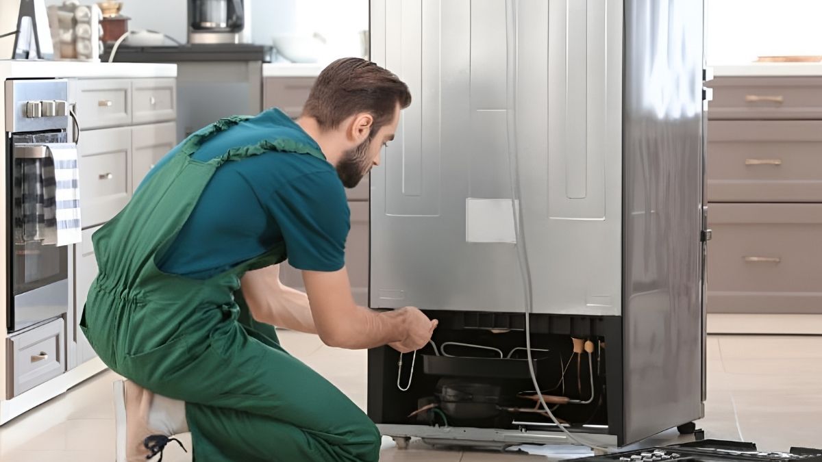 Lau khô và cắm điện tủ lạnh lại