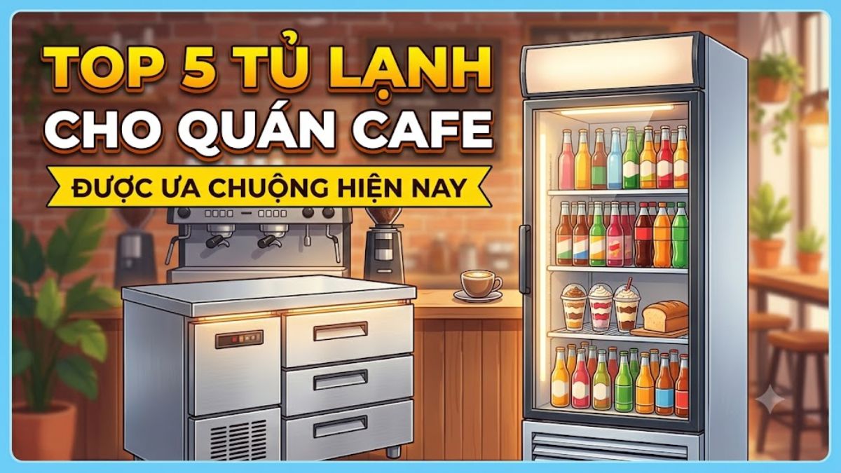 Top 5 tủ lạnh cho quán cafe được ưa chuộng hiện nay