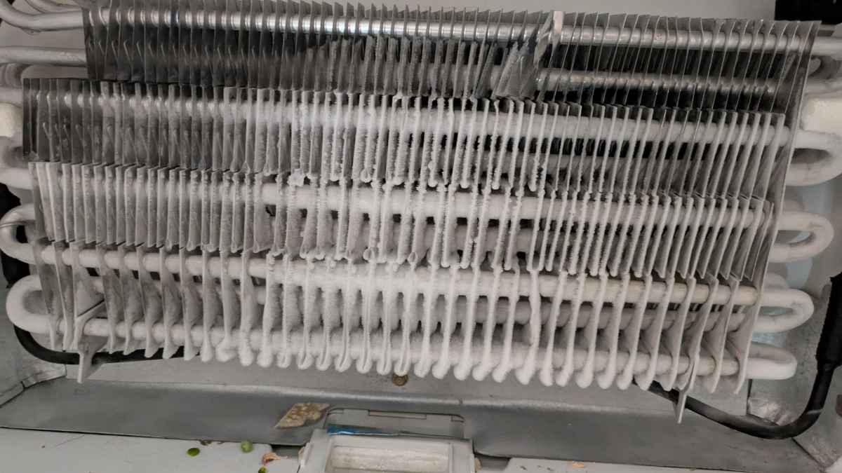 Các nguyên nhân phổ biến khiến tủ lạnh ngăn dưới không mát
