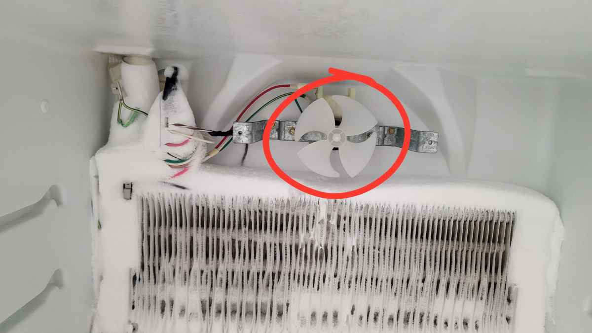 Quạt gió bị hỏng không lưu thông khí lạnh xuống ngăn mát