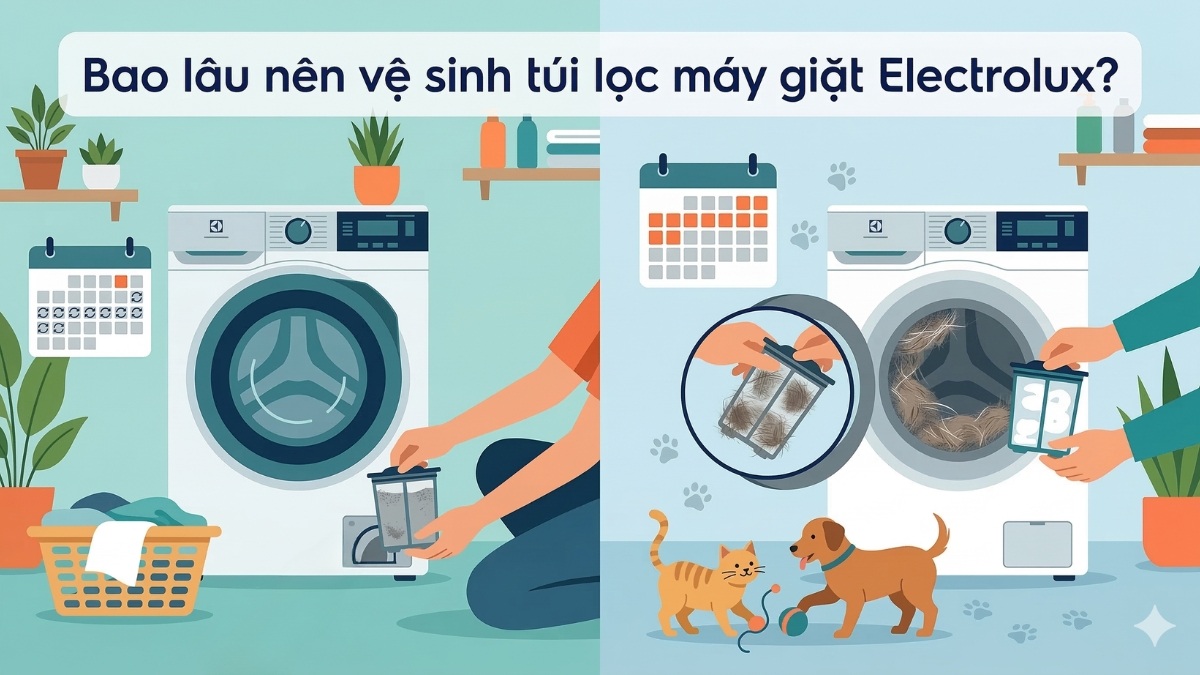 Bao lâu nên vệ sinh túi lọc máy giặt Electrolux?