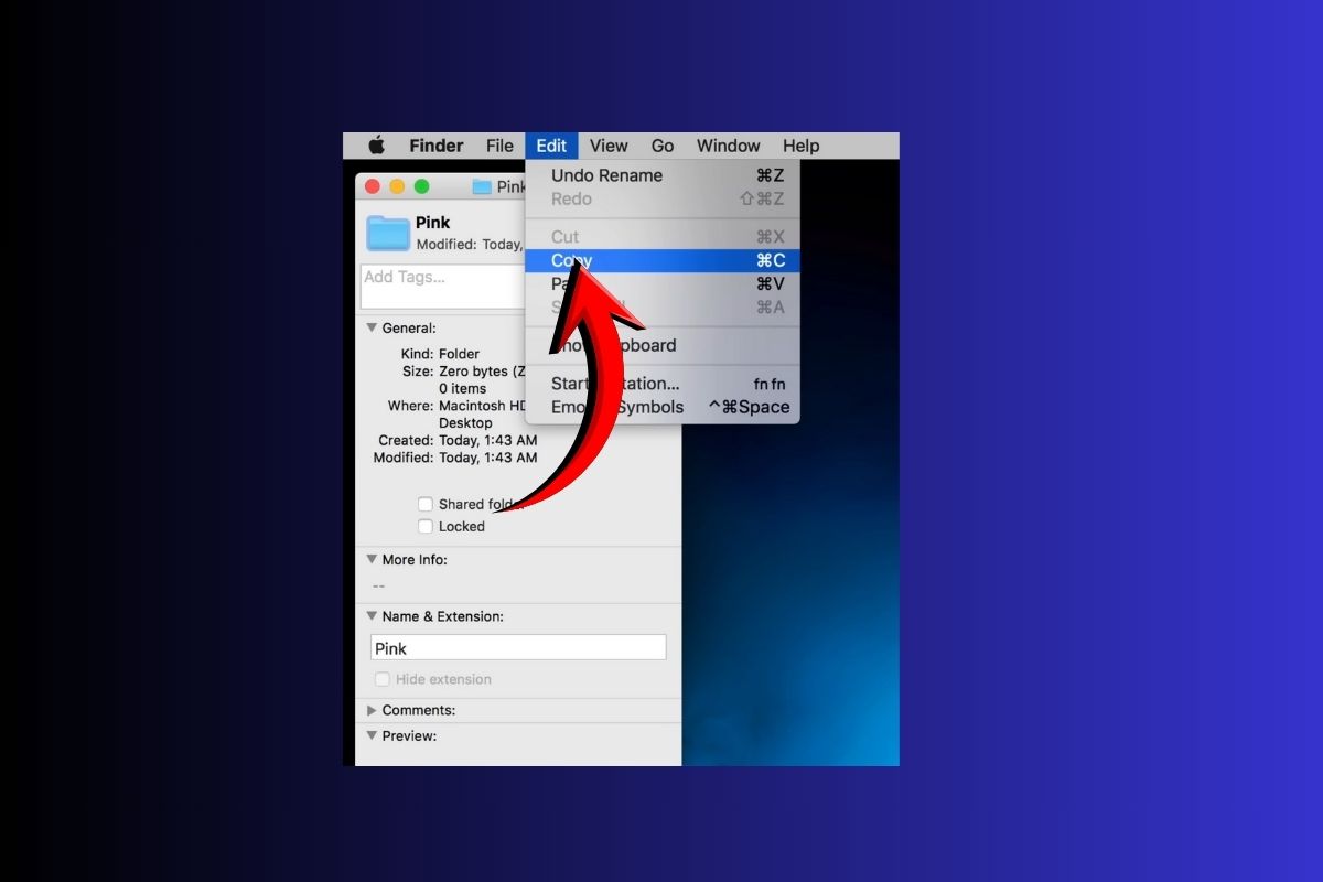 Cách tạo folder trên MacBook cực nhanh, thao tác dễ cho người mới-13
