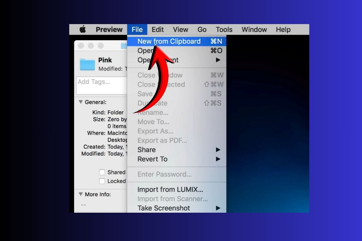 Cách tạo folder trên MacBook cực nhanh, thao tác dễ cho người mới-14