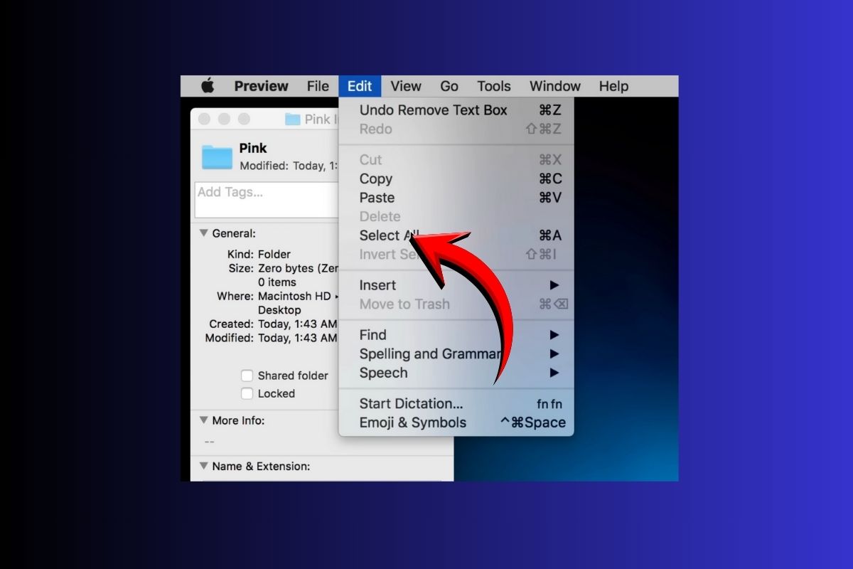 Cách tạo folder trên MacBook cực nhanh, thao tác dễ cho người mới-18