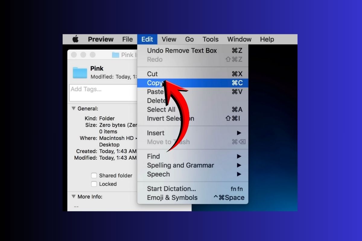 Cách tạo folder trên MacBook cực nhanh, thao tác dễ cho người mới-19