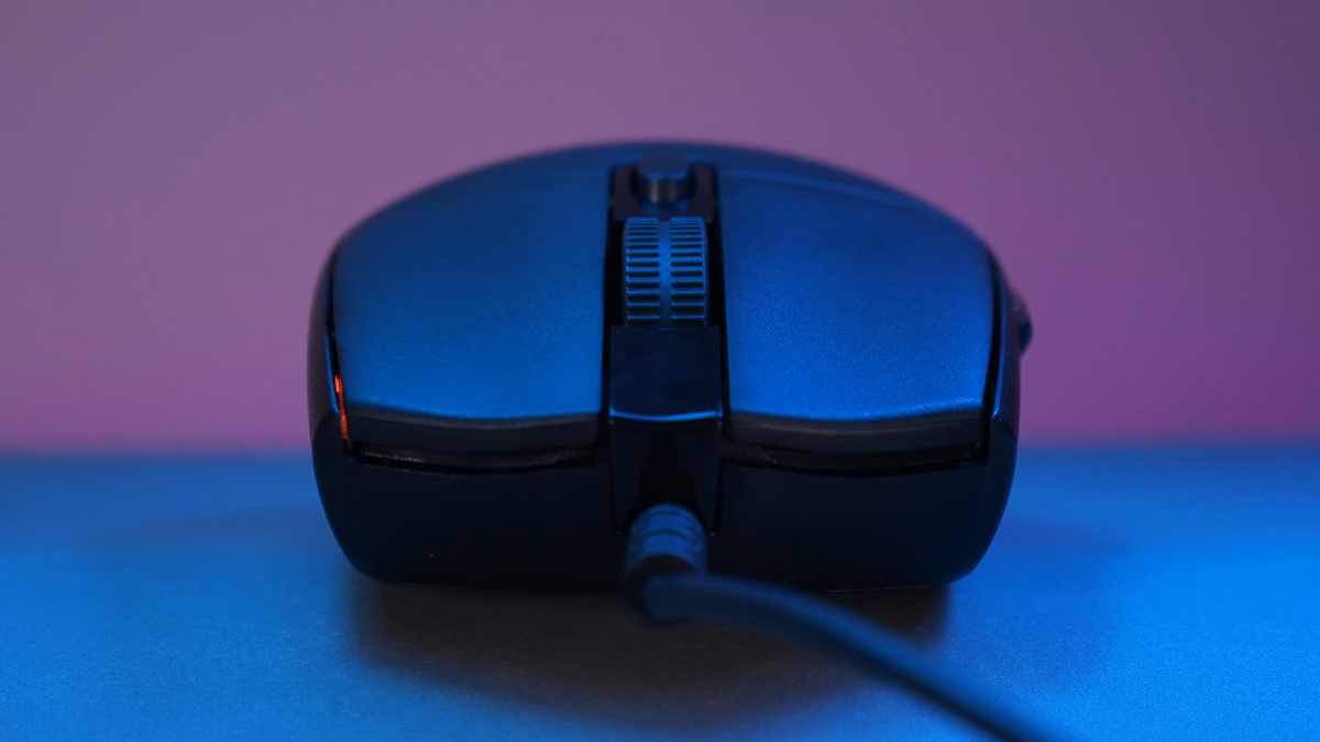 Mặt trước của chuột