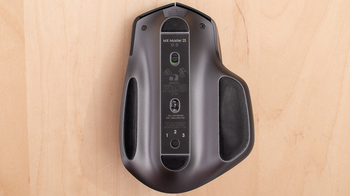 Mặt đáy của chuột