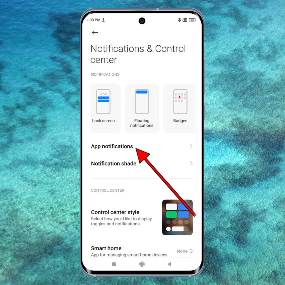 Mở phần Quản lý ứng dụng